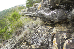 pict2609.jpg