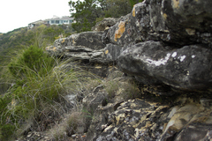 pict2610.jpg