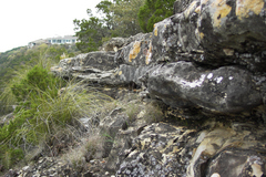 pict2612.jpg
