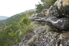 pict2613.jpg