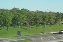 PICT0279.JPG