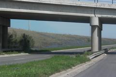 PICT0445.JPG