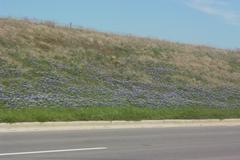 PICT0446.JPG