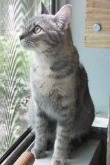 PICT0588.JPG