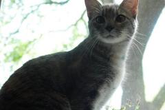 PICT0591.JPG
