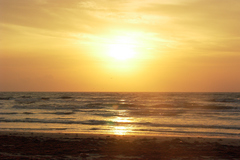 pict2642.jpg