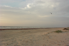 pict2647.jpg