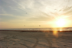 pict2650.jpg