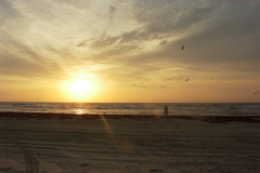 pict2651.jpg