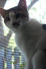 pict0701.jpg