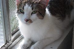 pict0703.jpg