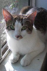pict0704.jpg
