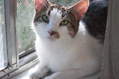 pict0706.jpg