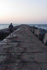 pict0843.jpg