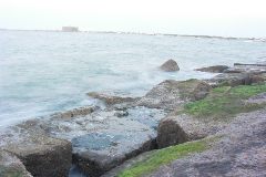 pict0856.jpg