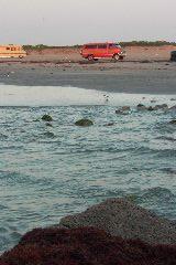 pict0875.jpg