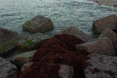 pict0876.jpg