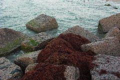 pict0877.jpg