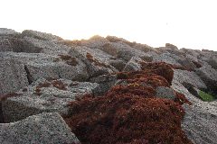 pict0881.jpg