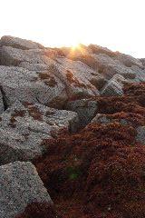 pict0882.jpg