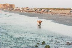 pict0883.jpg