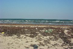 pict1122.jpg