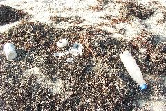 pict1129.jpg