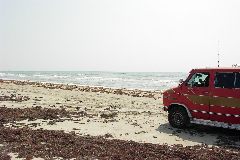pict1084.jpg