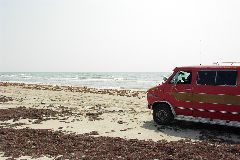 pict1085.jpg
