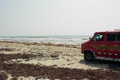 pict1086.jpg