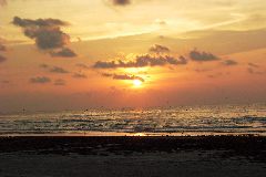 pict1145.jpg