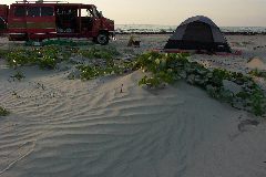 pict1152.jpg