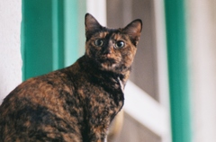 1378464-R1-014-5A.jpg