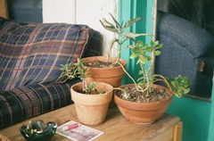 1378464-R1-024-10A.jpg