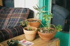 1378464-R1-026-11A.jpg