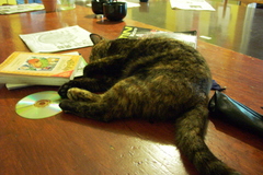 PICT3246.JPG