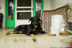 PICT3322.JPG