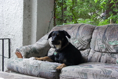 PICT3327.JPG