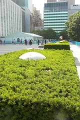 pict2881.jpg