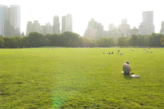pict2890.jpg
