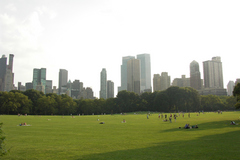 pict2896.jpg