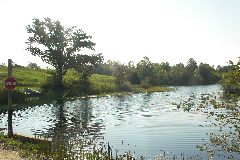 pict1625.jpg