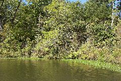 pict1632.jpg