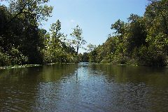 pict1633.jpg