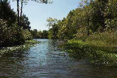 pict1641.jpg