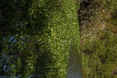 pict1643.jpg