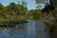 pict1647.jpg