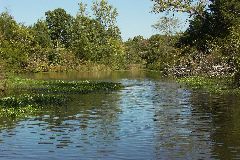 pict1648.jpg