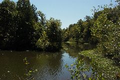 pict1658.jpg
