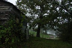 pict1686.jpg